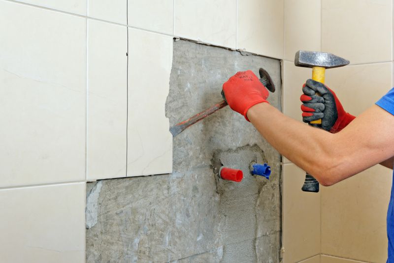 Top Bathroom Remodeling Companies in Apollo Beach, FL
